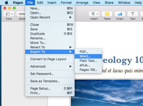 apple pages vs word for mac